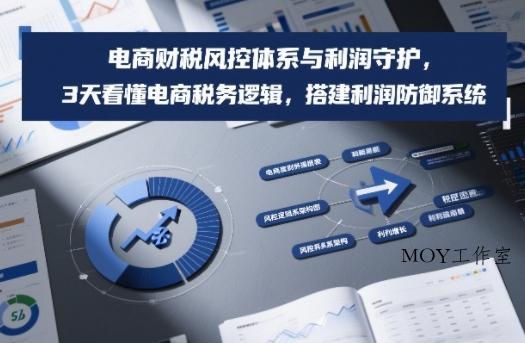 电商财税风控体系与利润守护，3天看懂电商税务逻辑，搭建利润防御系统-墨昀爱搬砖