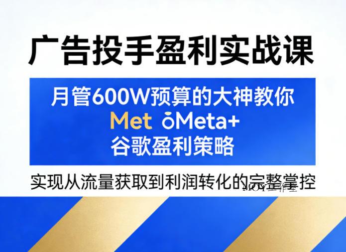 广告投手盈利实战课，月管600W预算的大神教你Meta+谷歌盈利策略，实现从流量获取到利润转化的完整掌控-墨昀爱搬砖