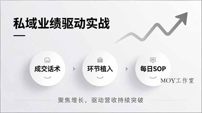 私域业绩驱动实战，成交话术、环节植入、每日SOP，聚焦增长，驱动营收持续突破-墨昀爱搬砖