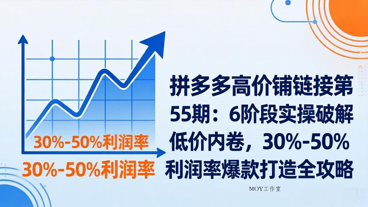 拼多多高价铺链接第55期：6阶段实操破解低价内卷，30%-50%利润率爆款打造全攻略-墨昀爱搬砖