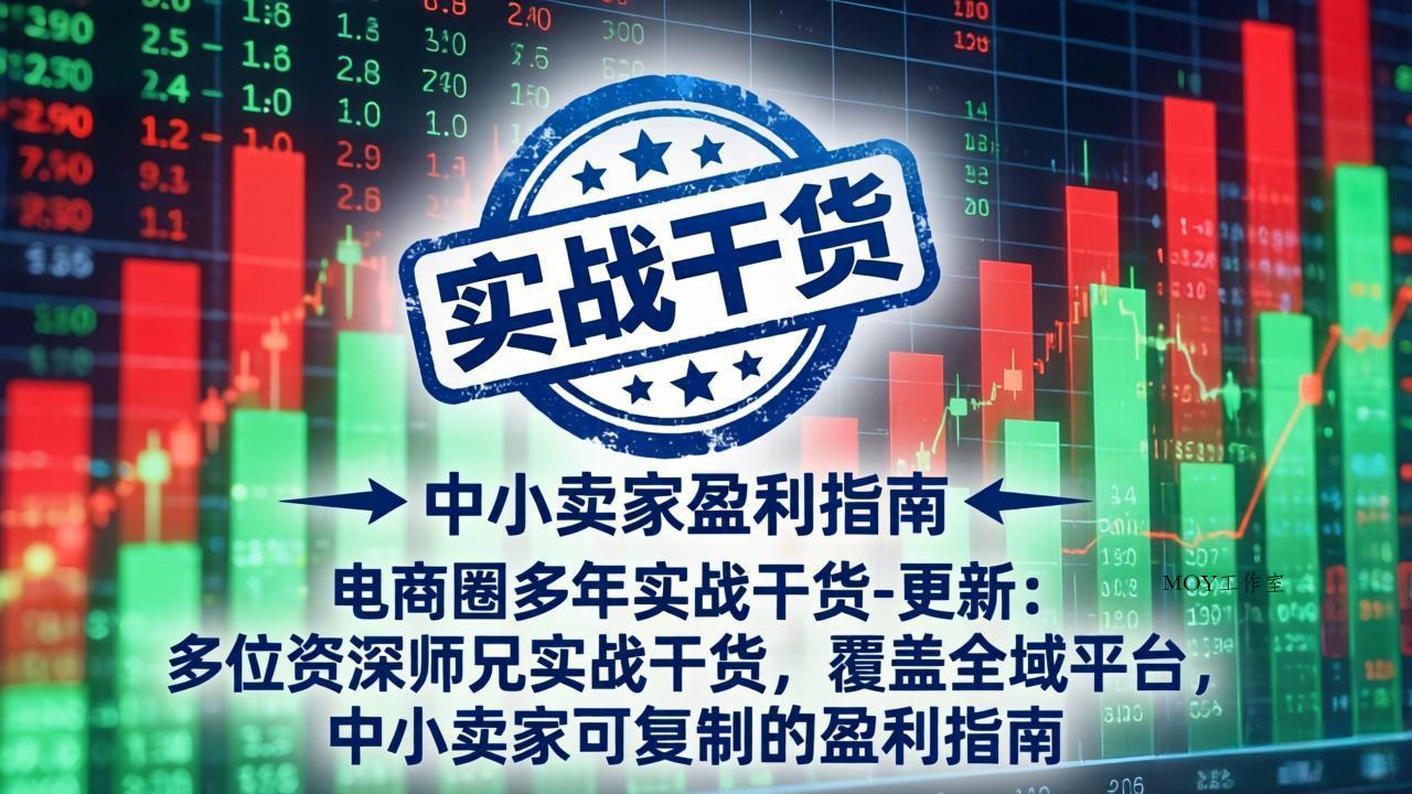 电商圈多年实战干货-更新4月：多位资深师兄实战干货，覆盖全域平台，中小卖家可复制的盈利指南-墨昀爱搬砖