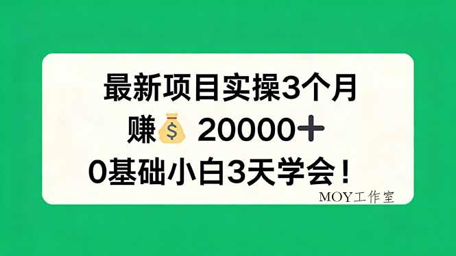 最新项目实操3个月，赚钱20000+，0基础小白3天学会！-墨昀爱搬砖