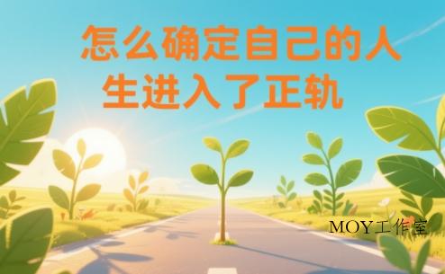某公众号付费文章：怎么确定自己的人生进入了正轨？-墨昀爱搬砖