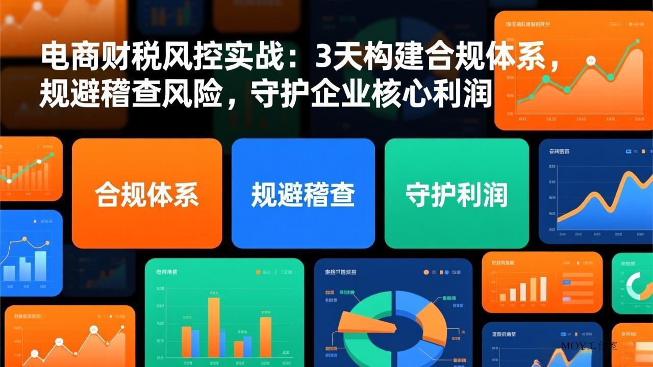 电商财税风控实战：3天构建合规体系，规避稽查风险，守护企业核心利润-墨昀爱搬砖