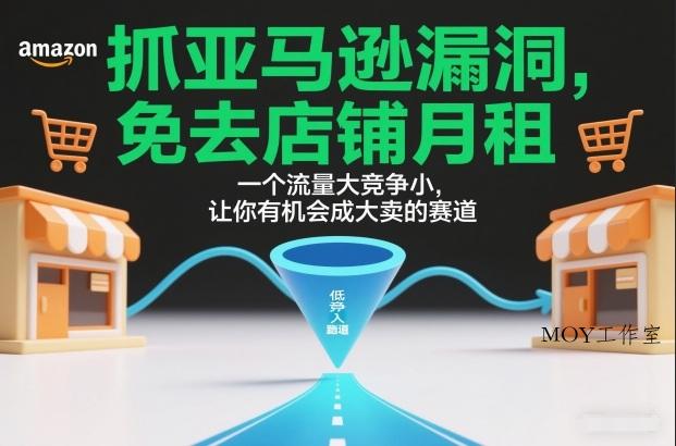 抓亚马逊漏洞，免去店铺月租，一个流量大竞争小，让你有机会成大卖的赛道-墨昀爱搬砖