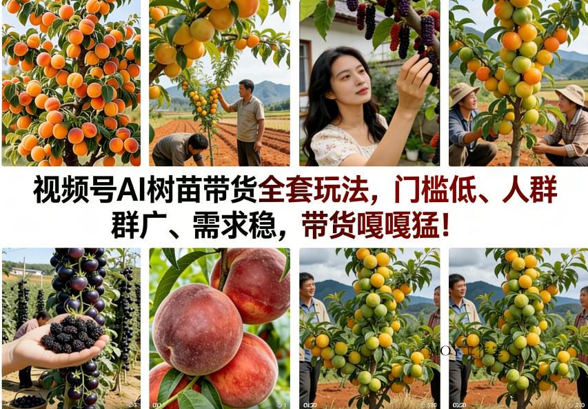 视频号AI树苗带货全套玩法，门槛低、人群广、需求稳，带货嘎嘎猛！(更新0322)-墨昀爱搬砖
